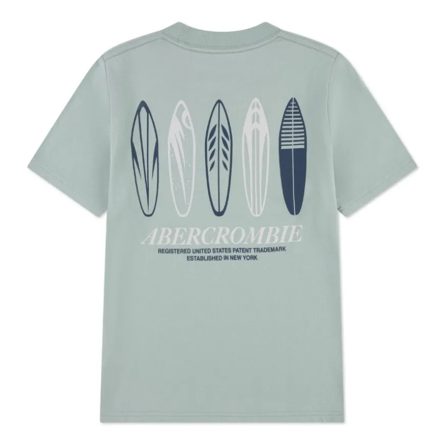 Camisetas manga corta Abercrombie Afb Surfs Up Tee