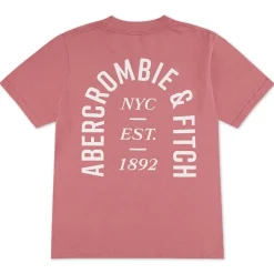Camisetas manga corta Abercrombie Afb Nyc Est 1892 Logo Tee