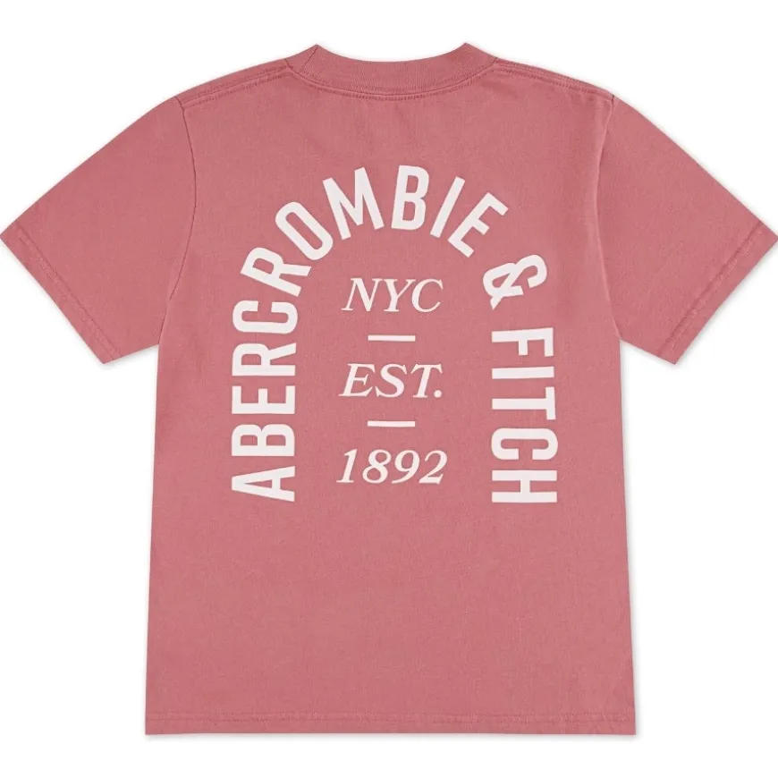 Camisetas manga corta Abercrombie Afb Nyc Est 1892 Logo Tee