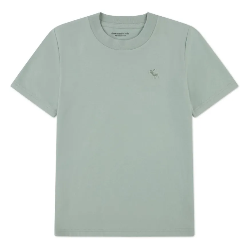 Camisetas manga corta Abercrombie Afbshort Sleeve Essential Tee