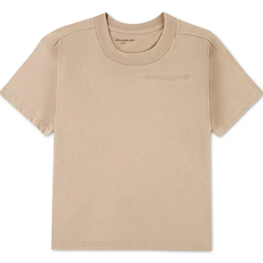 Camisetas manga corta Abercrombie Afb Sunfaded Knit Top