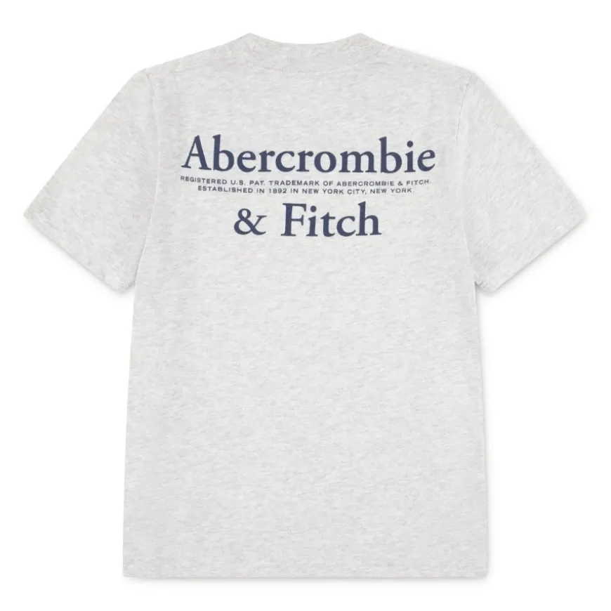 Camisetas manga corta Abercrombie Afb Foothills Tee