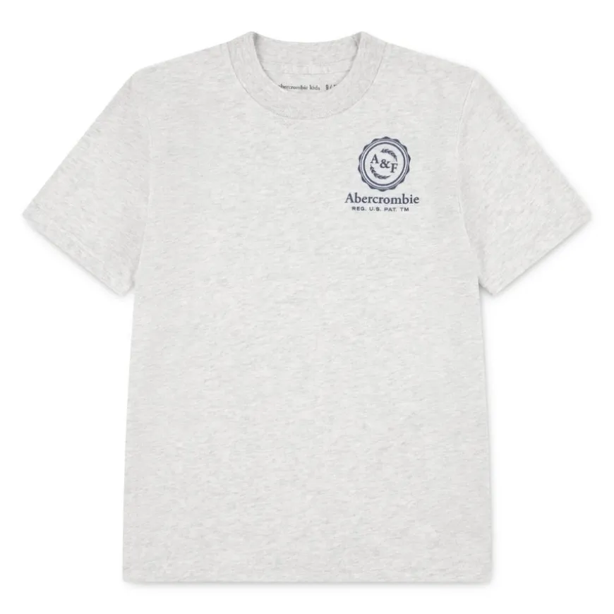 Camisetas manga corta Abercrombie Afb Foothills Tee