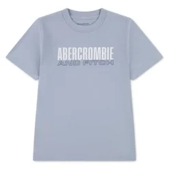 Camisetas manga corta Abercrombie Brick Type Tee