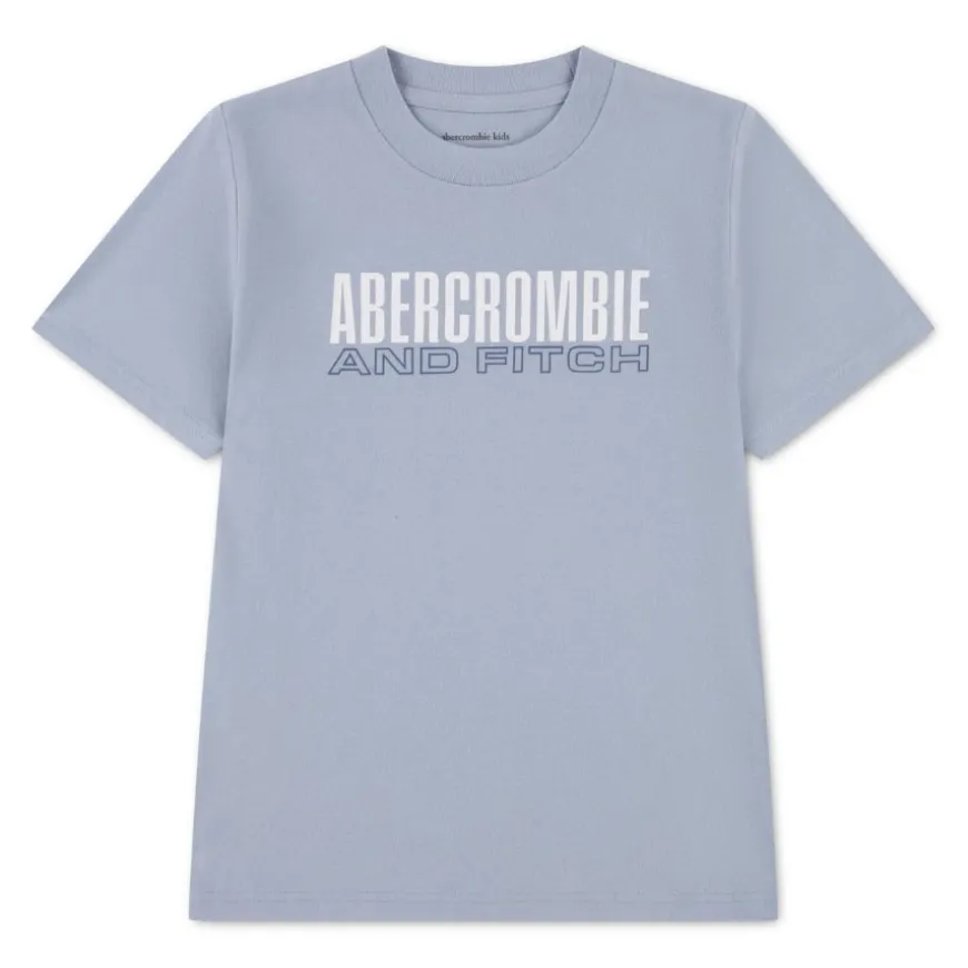 Camisetas manga corta Abercrombie Brick Type Tee