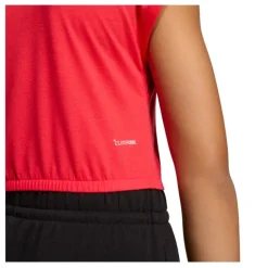 Camisetas manga corta Adidas Jg Clgt Tee