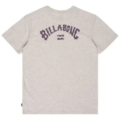 Camisetas manga corta Billabong Arch Wave Ss SMU