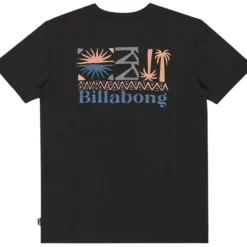 Camisetas manga corta Billabong Segment Ss
