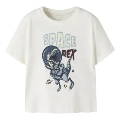 Camisetas manga corta Name-it Nmmvictor Ss Nreg Top