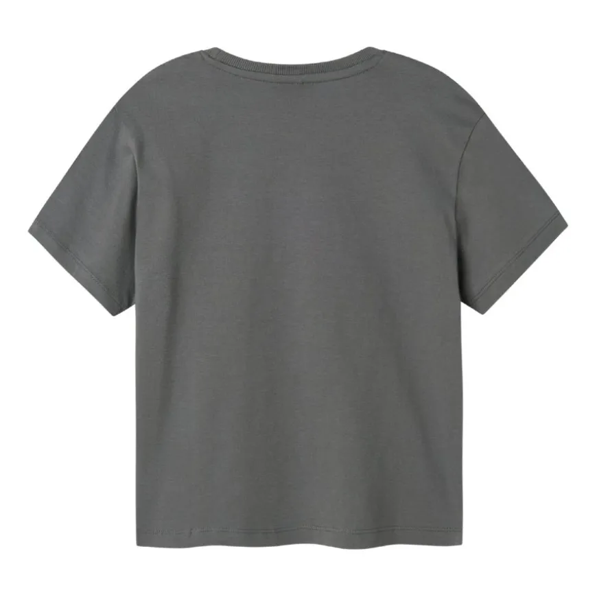 Camisetas manga corta Name-it N.U. Nkmbrody Ss Nreg Top Noos