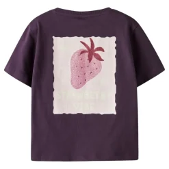 Camisetas manga corta Name-it Nmfbelina Ss Nreg Top Pb