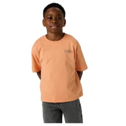 Camisetas manga corta Name-it Nkmbleze Ss Rlx Top Ps Noos