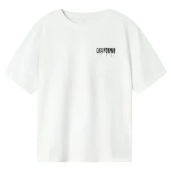 Camisetas manga corta Name-it N.U. Nkmzulla Ss Nreg Top Box Noos