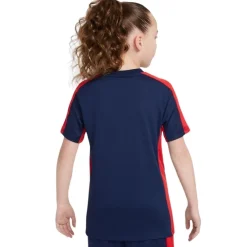 Camisetas manga corta Nike K Nk Df Trphy23 Ss Top Gx