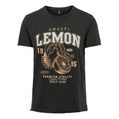 Camisetas manga corta Only Onllucy Reg S S Top Jrs Noos