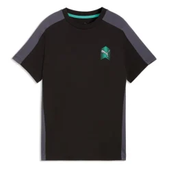 Camisetas manga corta Puma ACTIVE SPORTS Small