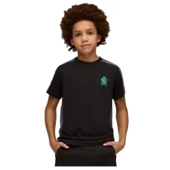 Camisetas manga corta Puma ACTIVE SPORTS Small