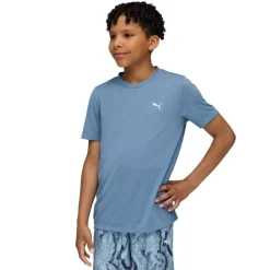 Camisetas manga corta Puma Tad Ess Tee B