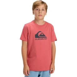 Camisetas manga corta Quiksilver Ev Comp Logo Ss Youth SMU