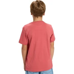 Camisetas manga corta Quiksilver Ev Comp Logo Ss Youth SMU
