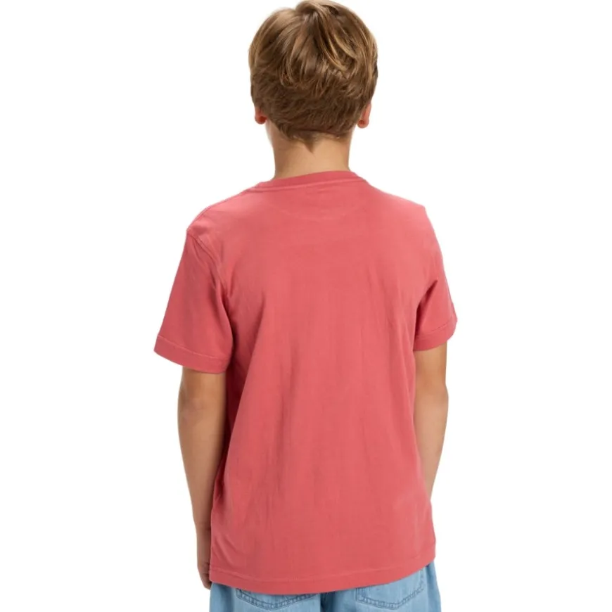 Camisetas manga corta Quiksilver Ev Comp Logo Ss Youth SMU