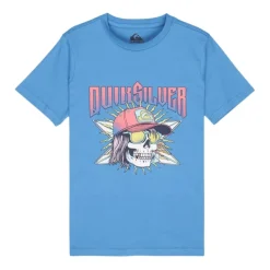Camisetas manga corta Quiksilver Sound On Ss
