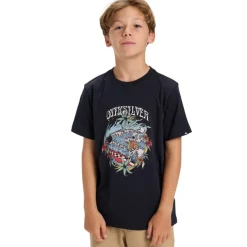 Camisetas manga corta Quiksilver Ev In Waves Ss Youth