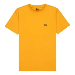 Camisetas manga corta Quiksilver Basic Ss Tee Youth Promo Tee
