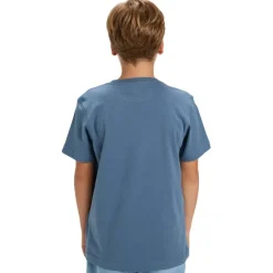 Camisetas manga corta Quiksilver Ev In Waves Ss Youth