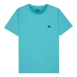 Camisetas manga corta Quiksilver Basic Ss Tee Youth Promo Tee