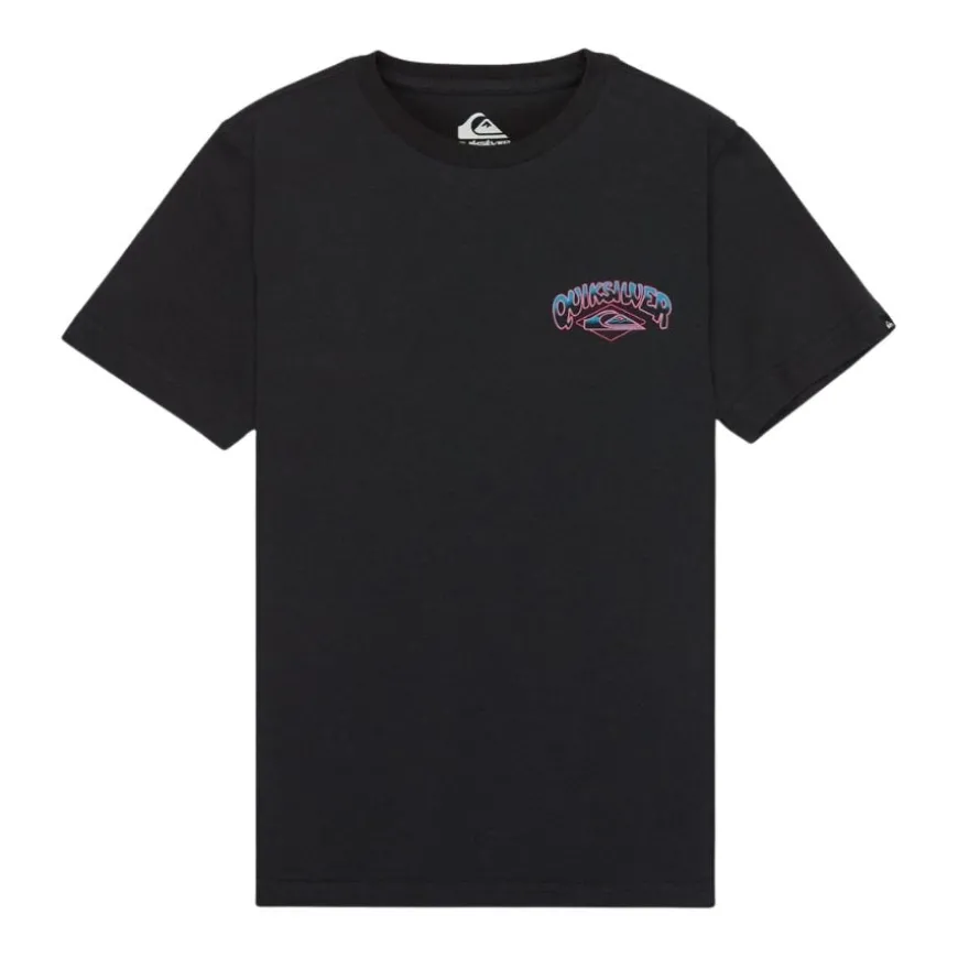 Camisetas manga corta Quiksilver Palm Horizon Ss