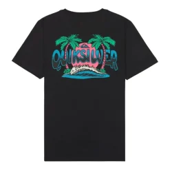 Camisetas manga corta Quiksilver Palm Horizon Ss
