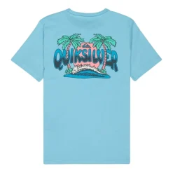 Camisetas manga corta Quiksilver Palm Horizon Ss