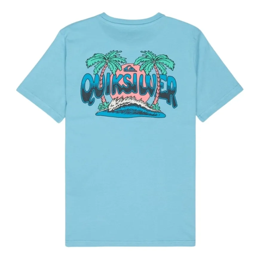Camisetas manga corta Quiksilver Palm Horizon Ss