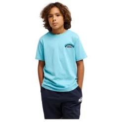Camisetas manga corta Quiksilver Palm Horizon Ss