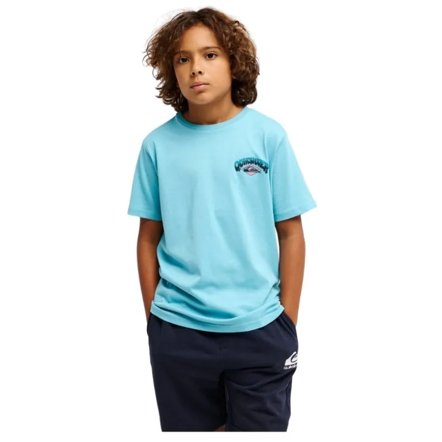 Camisetas manga corta Quiksilver Palm Horizon Ss
