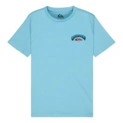 Camisetas manga corta Quiksilver Palm Horizon Ss