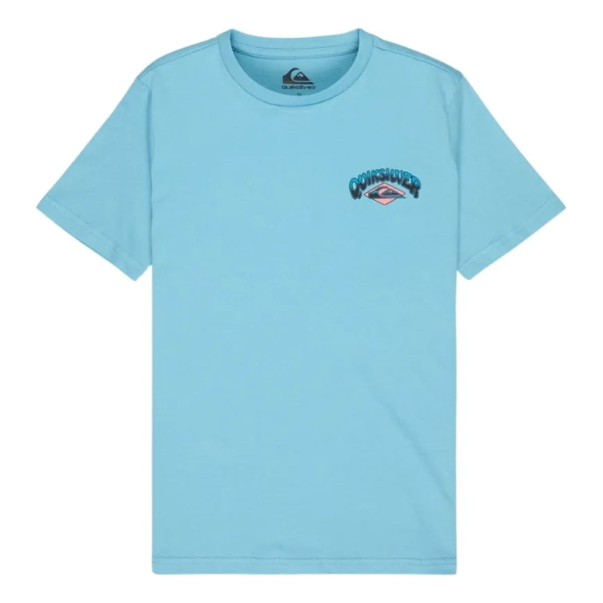 Camisetas manga corta Quiksilver Palm Horizon Ss