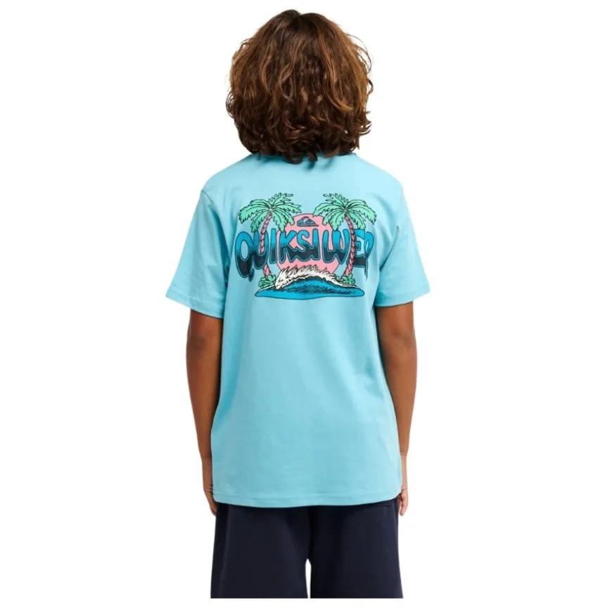Camisetas manga corta Quiksilver Palm Horizon Ss