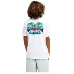 Camisetas manga corta Quiksilver Palm Horizon Ss