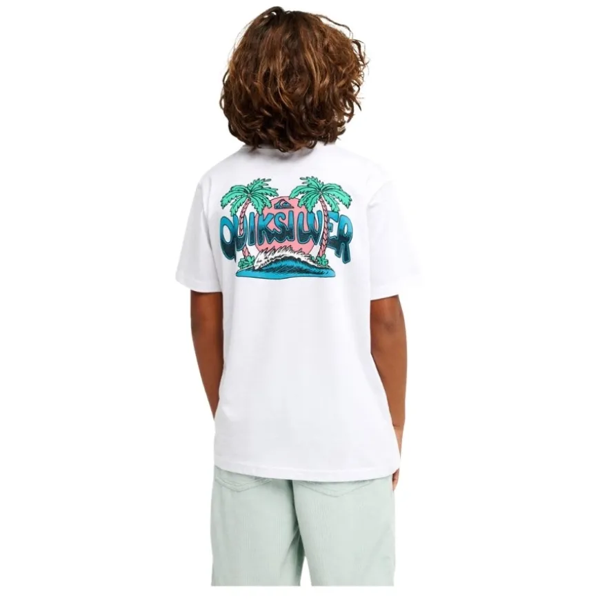 Camisetas manga corta Quiksilver Palm Horizon Ss