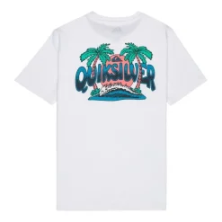Camisetas manga corta Quiksilver Palm Horizon Ss
