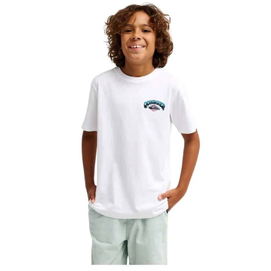 Camisetas manga corta Quiksilver Palm Horizon Ss