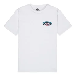 Camisetas manga corta Quiksilver Palm Horizon Ss