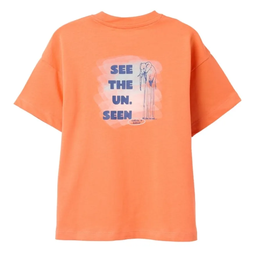 Camisetas manga corta Zippy SS TSHIRT JERSEY