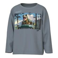 Camisetas manga larga Name-it Nmmvoto Ls Nreg Top