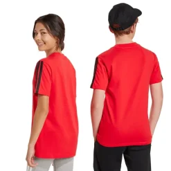 Camisetas manga corta Adidas J 3S Tee 160