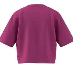 Camisetas manga corta Adidas W Bl Sj Bf T