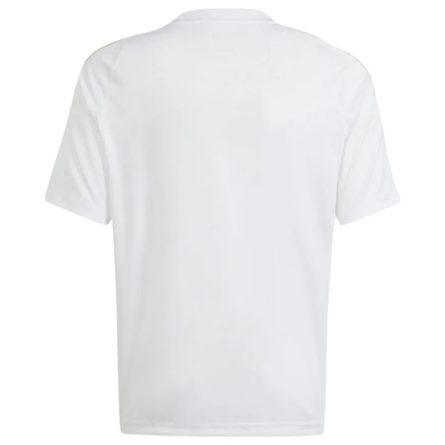 Camisetas manga corta Adidas Messi Tr Jsy Y