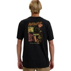 Camisetas manga corta Billabong SMU Estrada Ss